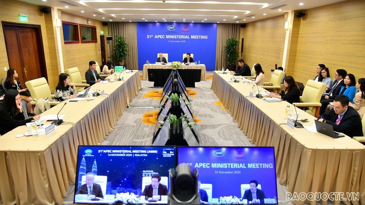 베트남, APEC 포스트 2020 비전 선언문 채택 지지 - ảnh 2