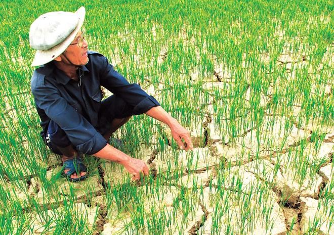 베트남, 기후변화대응에 적극 참가 - ảnh 1