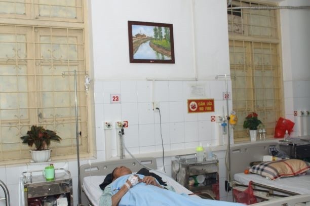 하노이 세인트폴종합병원에 그림 증여 - ảnh 1