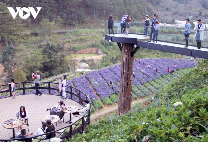 럼동 (Lâm Đồng)성 농업 테마 여행 - ảnh 2