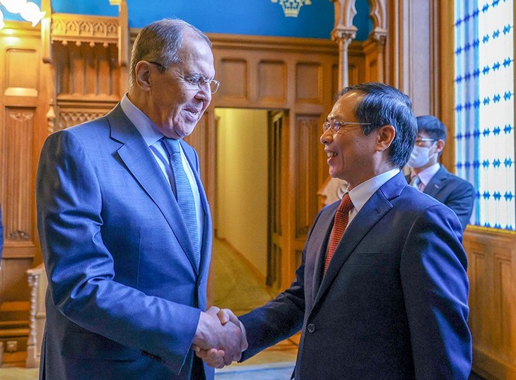 베트남-러시아 전면적 전략적 동반자 관계 촉진 - ảnh 1