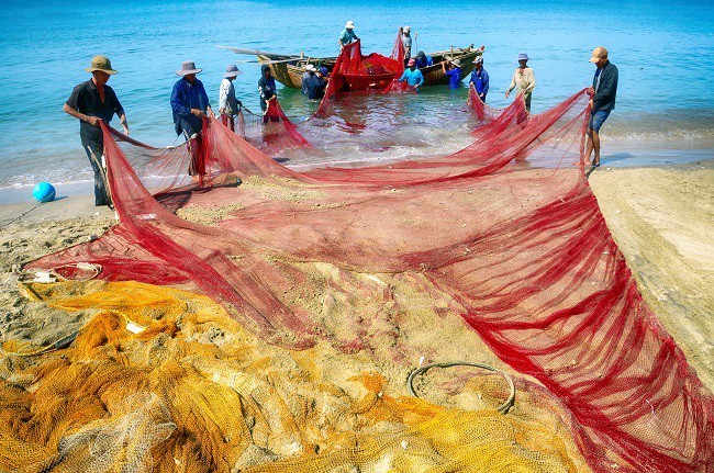 국제 사진작가 렌즈를 통한 독특한 베트남 - ảnh 12