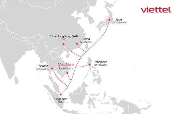베트남 최대 대역폭 광케이블 접안작업 - ảnh 1