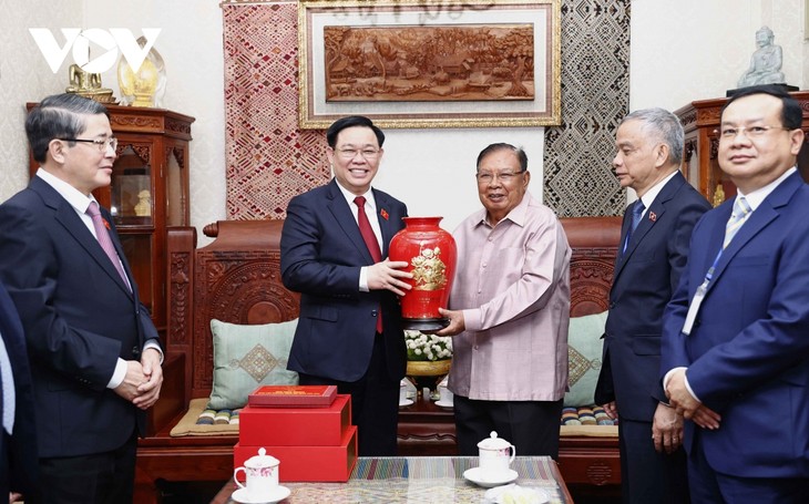 Toàn cảnh chuyến thăm chính thức CHDCND Lào của Chủ tịch Quốc hội Vương Đình Huệ - ảnh 11