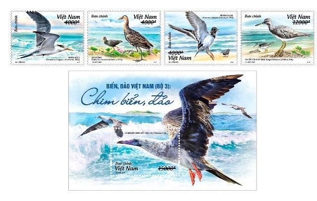 “베트남 바다와 섬: 바다새와 섬” 우표 세트 발행 - ảnh 1