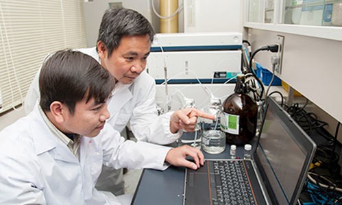베트남 연구팀, 쌀에서 혈액암 세포 억제 물질 발견 - ảnh 1