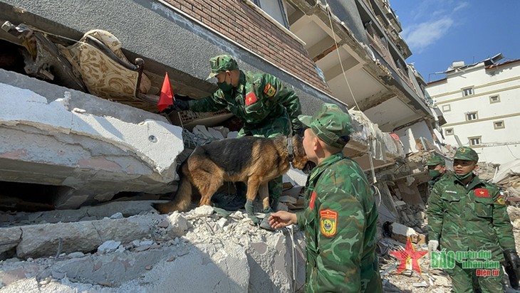 베트남 군 구조대,  튀르키예 지진 피해자 구조 작업 지속 지원 - ảnh 1