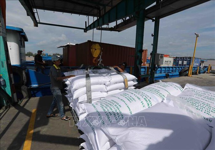 베트남, 2023년 7백만 톤 쌀 수출 예상 - ảnh 1