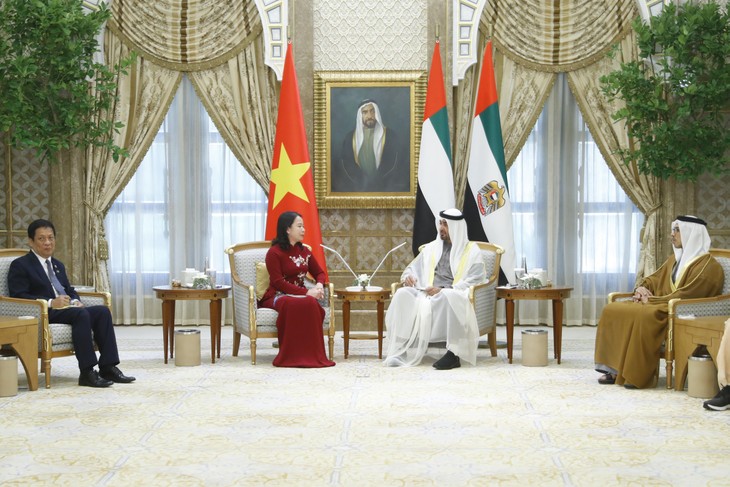 보 티 아인 쑤언 부주석, UAE 대통령과 만나 - ảnh 1