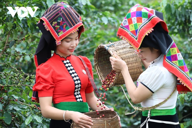 선라성 커피 축제, 베트남 커피 가치 높여 - ảnh 1