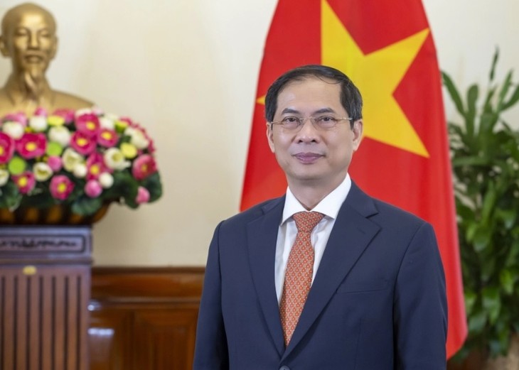 새로운 임무 앞에서 베트남 외교 효율성 발휘 - ảnh 2