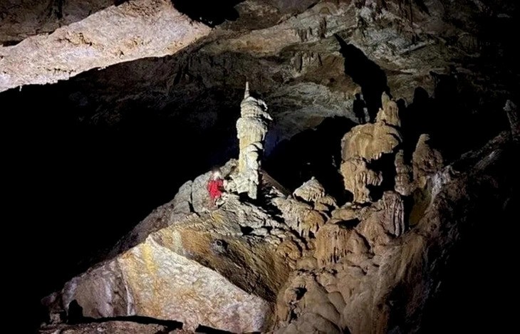 퐁냐-깨방 국립공원 내 22개 새로운 동굴 발견 - ảnh 2
