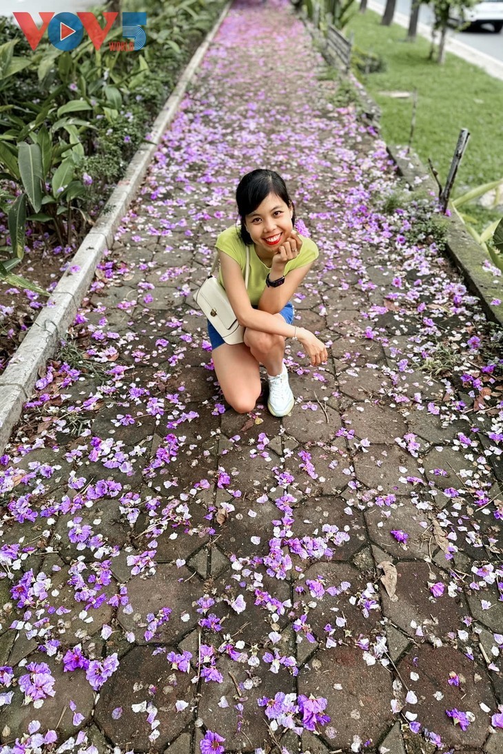 하노이 거리를 채우는 낭만적인 보라색 바나바꽃 - ảnh 9