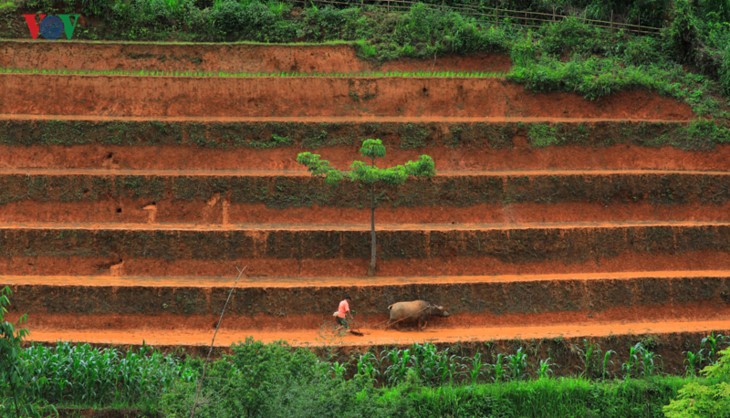 Mu Cang Chai - រមណីយដ្ឋានមួយក្នុងចំណោមរមណីយដ្ឋានដ៏ស្រស់ស្អាតបំផុត លើពិភពលោក - ảnh 5