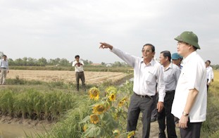ឧបនាយករដ្ឋមន្ត្រីវៀតណាម Nguyen Thien Nhan ជួបធ្វើការជាមួយថ្នាក់ដឹកនាំខេត្ត Soc Trang - ảnh 1