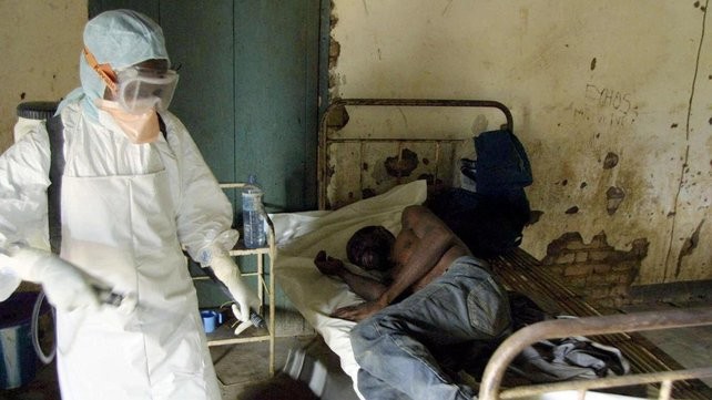 WHO ៖បរិមាណអ្នកជំងឺត្រូវស្លាប់ដោយវីរុស Ebola បានជាង១១ពាន់នាក់ - ảnh 1