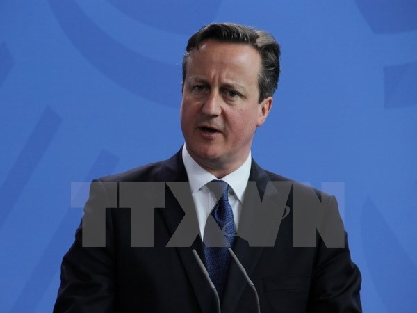 នាយករដ្ឋមន្ត្រី David Cameron ការពារយុទ្ធនាការចលនាអង់គ្លេសរក្សានៅ EU  - ảnh 1