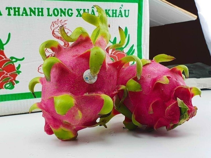 Ada banyak tanda yang menggembirakan dari pasar-pasar impor hortikultura Vietnam - ảnh 1