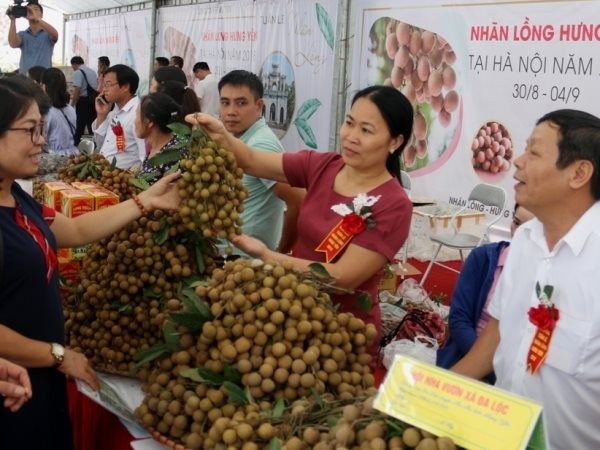 Provinsi Hung Yen memperhebat promosi pemasaran hasil pertanian - ảnh 1