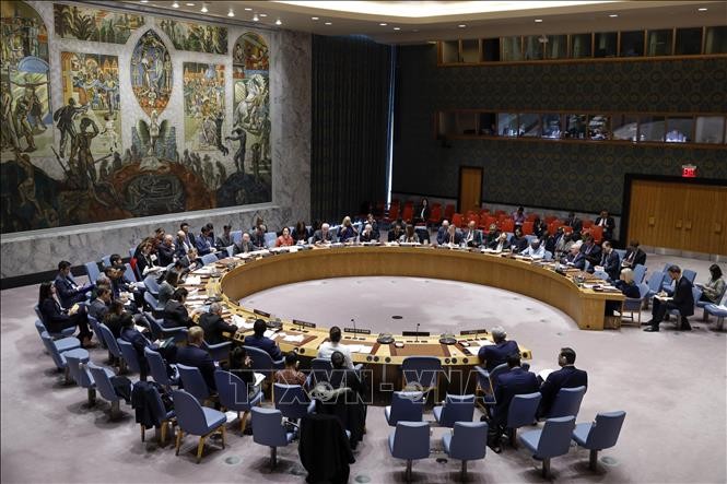 DK PBB membantah resolusi tentang perpanjangan embargo senjata terhadap Iran - ảnh 1