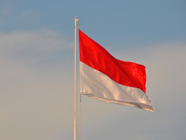 Memperingati ultah ke-75 Hari Nasional Republik Indonesia - ảnh 1