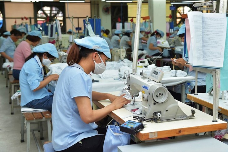Kementerian Industri dan Perdagangan Vietnam mengesahkan daftar badan usaha ekspor yang prestisius - ảnh 1