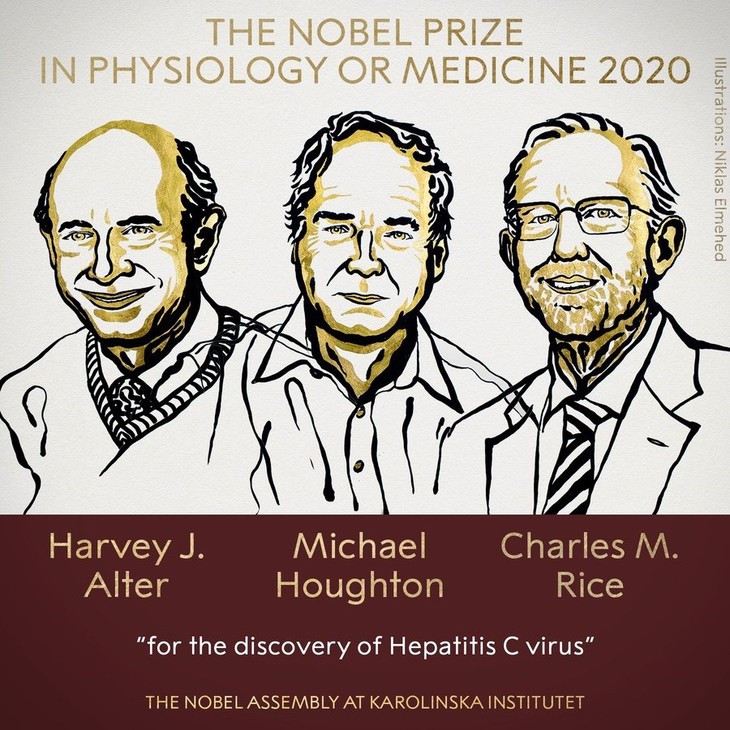 Mengumumkan Hadiah Nobel Kedokteran 2020 - ảnh 1