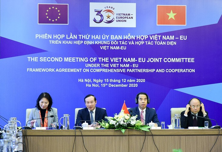 Vietnam dan Uni Eropa Memperkuat Kerja Sama untuk Mengatasi Dampak Pandemi Covid-19 - ảnh 1