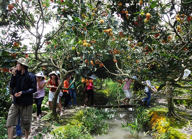 Provinsi Ba-Ria Vung Tau Mengembangkan Potensi Ekowisata - ảnh 1