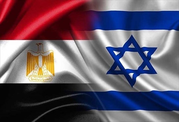 Israel dan Mesir Koordinasi bagi Pemulihan Proses Perdamaian Timur Tengah  - ảnh 1