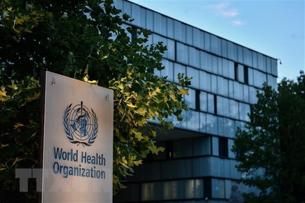 AS Umumkan akan Kembali Berikan Bantuan Keuangan kepada WHO - ảnh 1