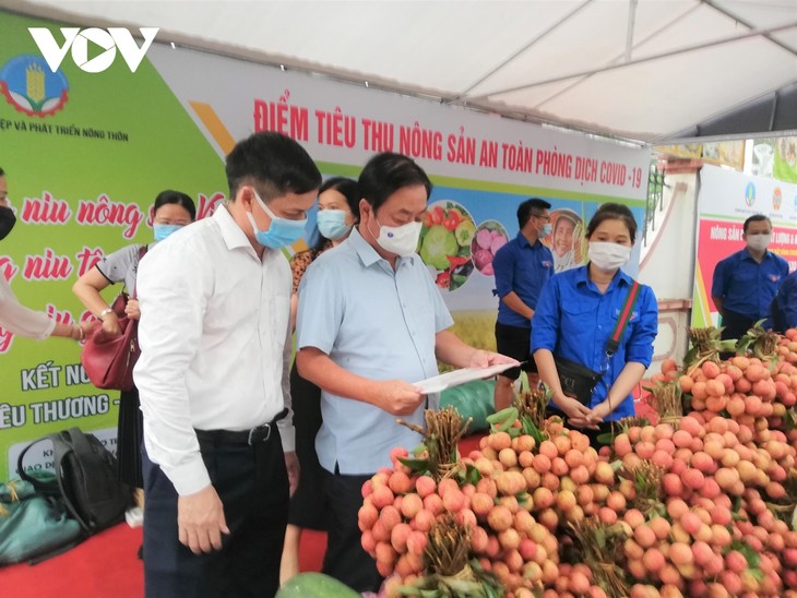 Kementerian Pertanian dan Pengembangan Pedesaan Vietnam Luncurkan Tempat Bantuan Pemasaran Hasil Pertanian yang Aman di Tengah Pandemi Covid-19 - ảnh 1