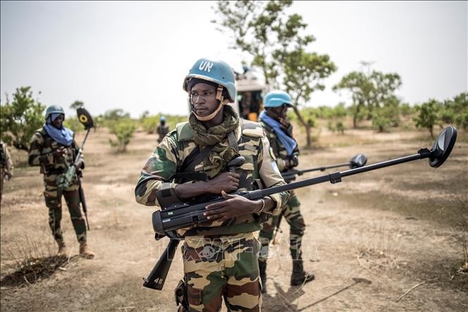 Sekjen PBB Minta agar Tambahkan Sekitar 2.000 Serdadu Pernjaga Perdamaian di Mali - ảnh 1