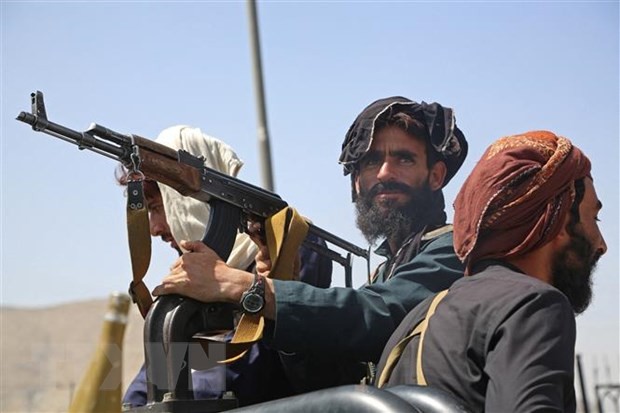 NATO Peringatkan Taliban Tidak Biarkan Afghanistan Jadi Tempat Penampungan Kaum Teoris - ảnh 1