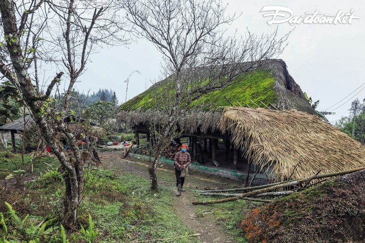Keindahan Dusun Xa Phin di Provinsi Ha Giang  - ảnh 13