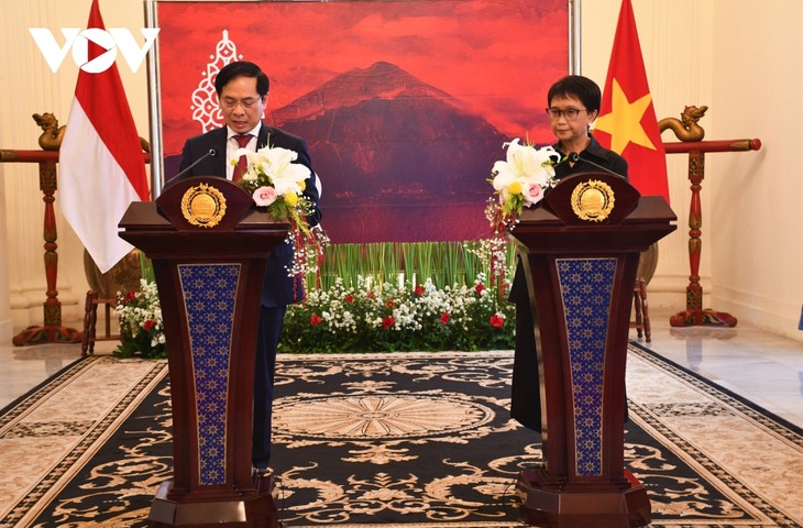 Sidang ke-4 Komite Kerja Sama Bilateral Vietnam-Indonesia Capai Hasil Positif - ảnh 1