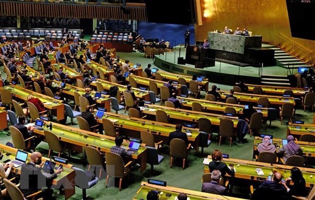 PBB Tetapkan Waktu Pengesahan Traktat Laut - ảnh 1