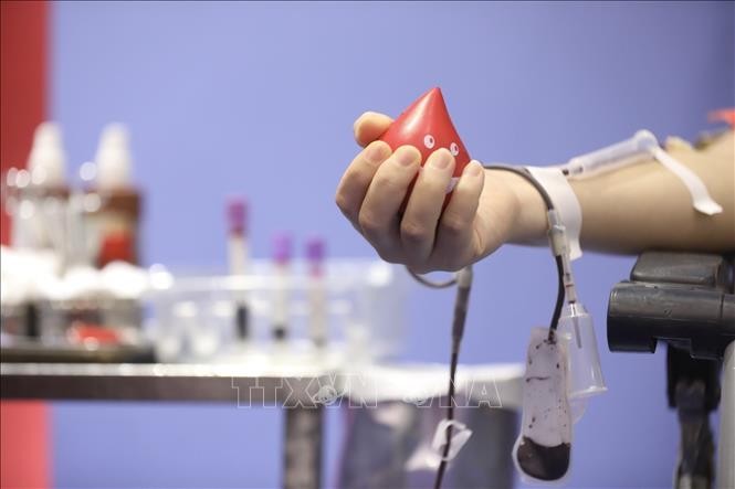 Hari Donor Darah Sedunia 14 Juni: Menjamin Bantuan bagi Para Donor Darah Sukarela - ảnh 1