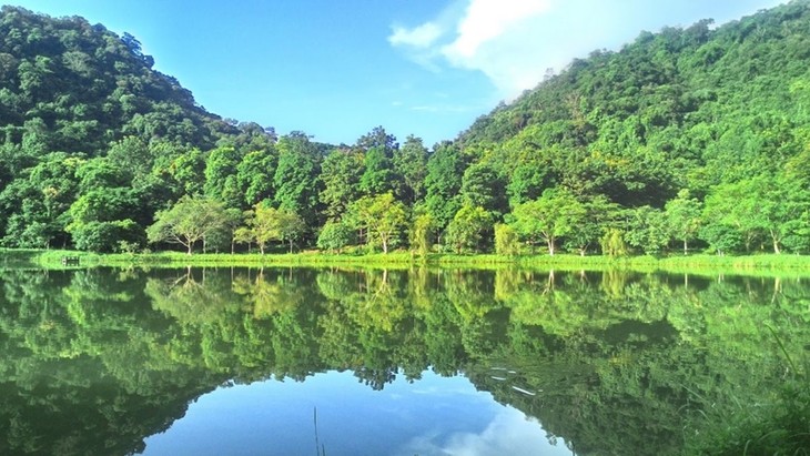 Cuc Phuong – Taman Nasional Primer di Asia Tahun 2023 - ảnh 1