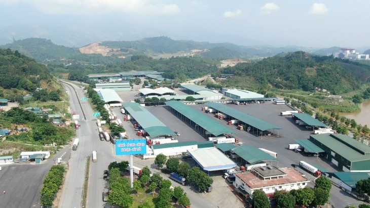 Provinsi Lao Cai Berupaya Menjadi Pusat Logistik di Vietnam - ảnh 1