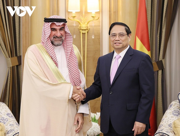 PM Pham Minh Chinh Terima Pimpinan Berbagai Grup dan Dana Investasi Besar di Arab Saudi - ảnh 3