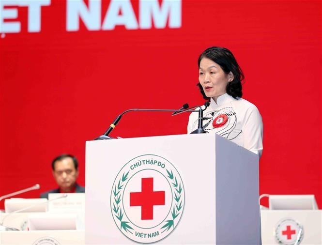 Memperkuat Kerja Sama antara Lembaga Palang Merah Vietnam dan Komite Internasional Palang Merah - ảnh 1