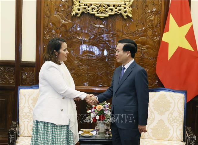 Presiden Vietnam, Vo Van Thuong Menerima Dubes Selandia Baru dan Dubes Peru - ảnh 1