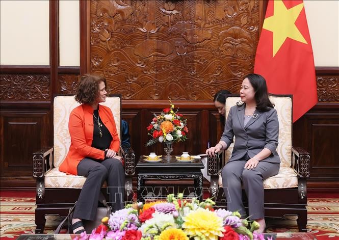 Penjabat Presiden Vietnam Menerima Direktur Nasional Bank Dunia di Vietnam - ảnh 1