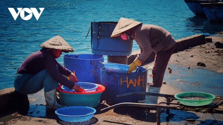 Menjelajahi Sa Huynh - Tempat dengan Pantai Terindah di Provinsi Quang Ngai (Vietnam Tengah) - ảnh 6