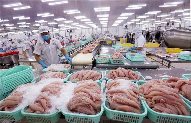 Kamboja Komitmen Patuhi Liberalisi Perdagangan Setelah Hentikan Impornya 4 Jenis Ikan Patin Dari Vietnam - ảnh 1