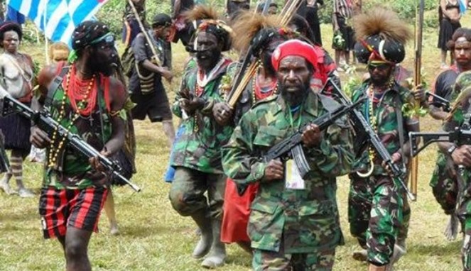 Indonesia Masukkan Pemberontak di Papua ke Daftar Nama Teroris - ảnh 1