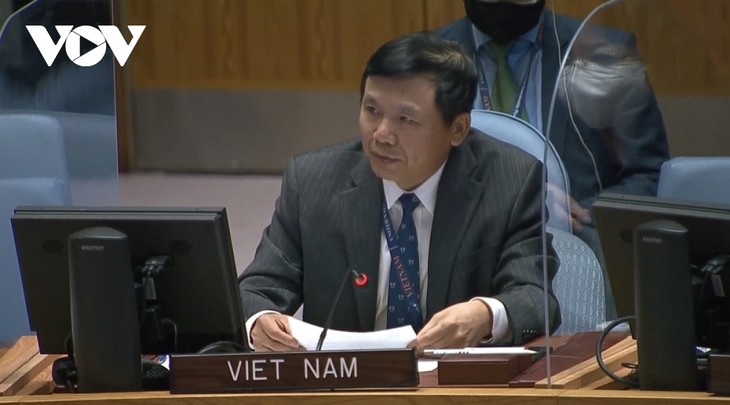 Vietnam Pimpin Sidang Komisi Dewan Keamanan untuk Sudan Selatan - ảnh 1