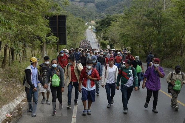 Pakar Menilai Dampak Perubahan Iklim pada Gelombang Migrasi Amerika Tengah - ảnh 1