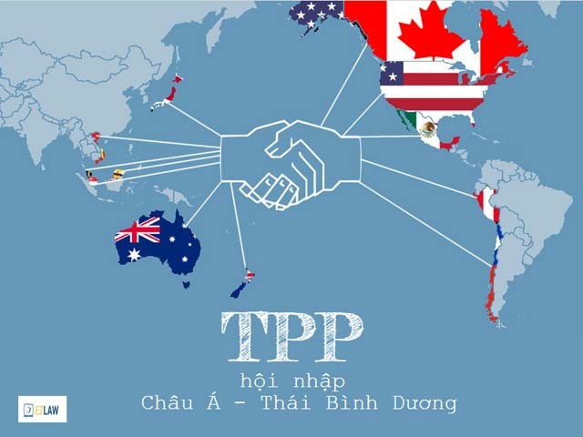 越南加入TPP后中小型企业力争上游提高竞争力 - ảnh 1